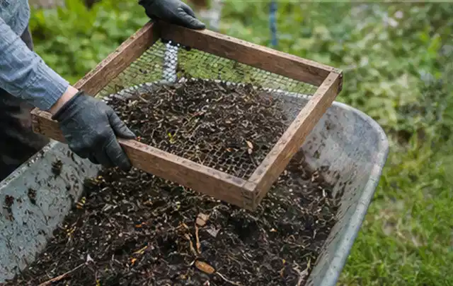 Behandschuhte Hände sieben reifen Kompost über einer Gartenschubkarre; Thema Mini Gewächshaus, Schwerpunkt Kosten; Ergebnis.