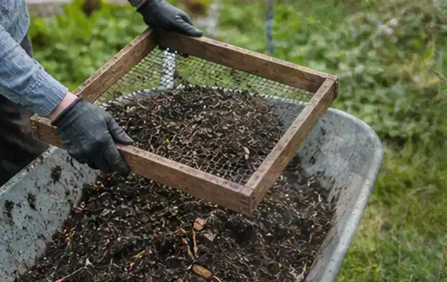 Behandschuhte Hände sieben reifen Kompost über einer Gartenschubkarre; Thema Möhren, Schwerpunkt Aussaat; Ausgangslage.