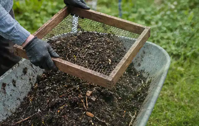 Behandschuhte Hände sieben reifen Kompost über einer Gartenschubkarre; Thema Möhren, Schwerpunkt Boden; Praxisalltag.