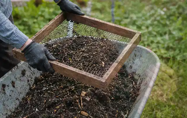 Behandschuhte Hände sieben reifen Kompost über einer Gartenschubkarre; Thema Möhren, Schwerpunkt Einsteigerwissen; Praxisalltag.