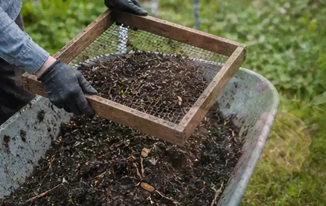 Behandschuhte Hände sieben reifen Kompost über einer Gartenschubkarre; Thema Möhren, Schwerpunkt Ernteprobleme; Praxisalltag.