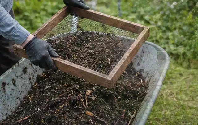 Behandschuhte Hände sieben reifen Kompost über einer Gartenschubkarre; Thema Möhren, Schwerpunkt Gesundheit; Ausgangslage.