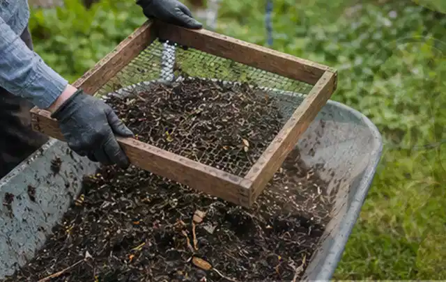 Behandschuhte Hände sieben reifen Kompost über einer Gartenschubkarre; Thema Möhren, Schwerpunkt Pflanzung; Ergebnis.