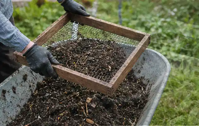 Behandschuhte Hände sieben reifen Kompost über einer Gartenschubkarre; Thema Möhren, Schwerpunkt Standort; Praxisalltag.
