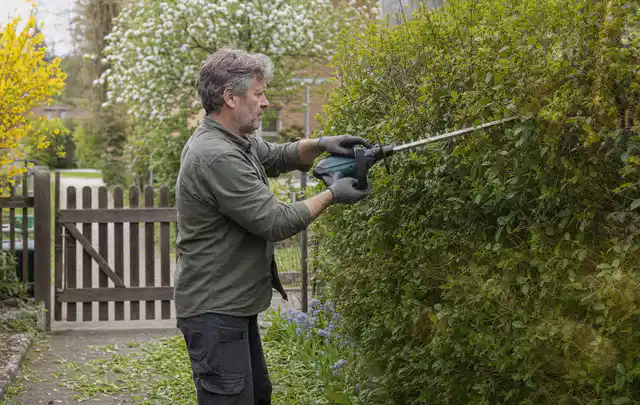 Person schneidet eine Gartenhecke mit einem motorisierten Gartengerät; Thema Motorhacken, Schwerpunkt Anwendung; Kontrolle.