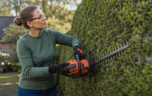 Person schneidet eine dichte Gartenhecke mit Schutzbrille und sicherem Stand; Thema Motorhacken, Schwerpunkt Anwendung; Ergebnis.
