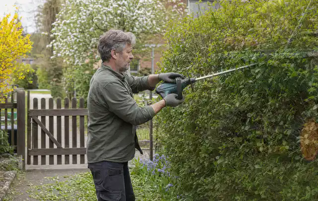 Person schneidet eine Gartenhecke mit einem motorisierten Gartengerät; Thema Motorhacken, Schwerpunkt Bestenliste; Kontrolle.