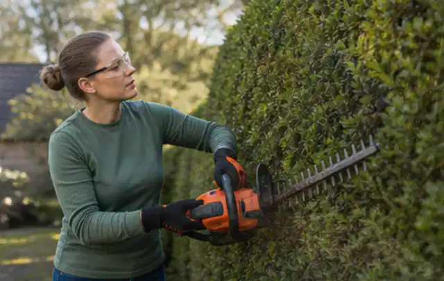 Person schneidet eine dichte Gartenhecke mit Schutzbrille und sicherem Stand; Thema Motorhacken, Schwerpunkt Bestenliste; Ergebnis.