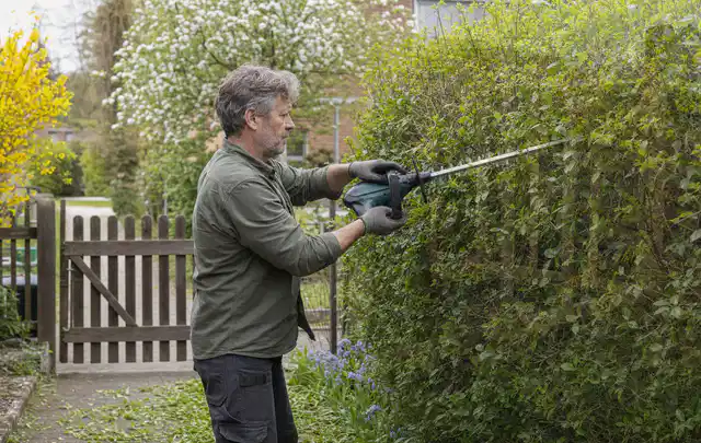 Person schneidet eine Gartenhecke mit einem motorisierten Gartengerät; Thema Motorhacken, Schwerpunkt Dimensionierung; Ausgangslage.