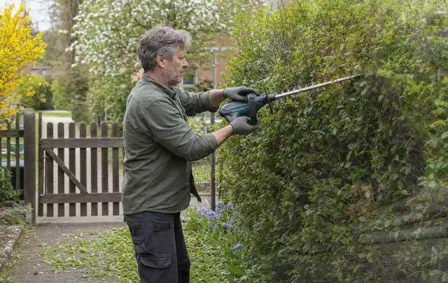 Person schneidet eine Gartenhecke mit einem motorisierten Gartengerät; Thema Motorhacken, Schwerpunkt Ersatzteile; Ausgangslage.