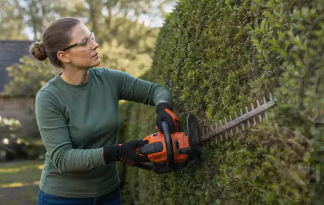 Person schneidet eine dichte Gartenhecke mit Schutzbrille und sicherem Stand; Thema Motorhacken, Schwerpunkt Ersatzteile; Ergebnis.