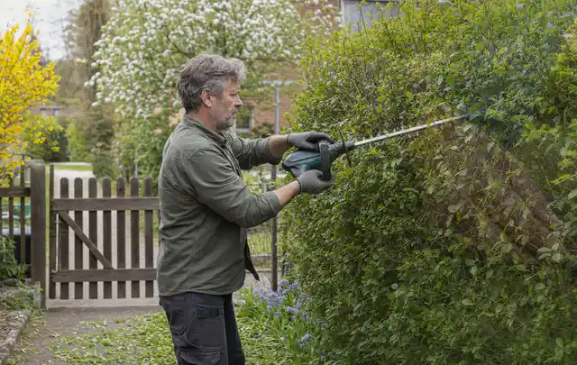 Person schneidet eine Gartenhecke mit einem motorisierten Gartengerät; Thema Motorhacken, Schwerpunkt Fehlerhilfe; Ausgangslage.