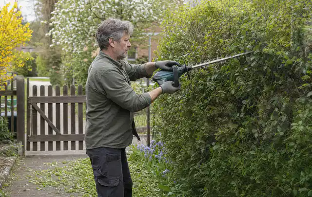Person schneidet eine Gartenhecke mit einem motorisierten Gartengerät; Thema Motorhacken, Schwerpunkt Gärten mit großer Fläche; Umsetzung.