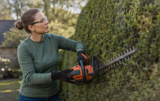 Person schneidet eine dichte Gartenhecke mit Schutzbrille und sicherem Stand; Thema Motorhacken, Schwerpunkt Gärten mit großer Fläche; Praxisalltag.