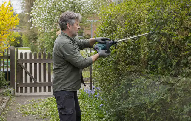 Person schneidet eine Gartenhecke mit einem motorisierten Gartengerät; Thema Motorhacken, Schwerpunkt Gärten mit kleiner Fläche; Praxisalltag.