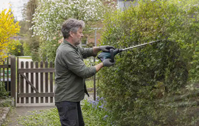 Person schneidet eine Gartenhecke mit einem motorisierten Gartengerät; Thema Motorhacken, Schwerpunkt Kaufberatung; Kontrolle.