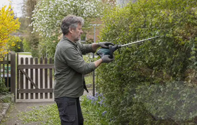 Person schneidet eine Gartenhecke mit einem motorisierten Gartengerät; Thema Motorhacken, Schwerpunkt Kosten; Kontrolle.