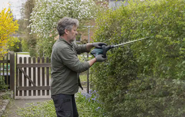 Person schneidet eine Gartenhecke mit einem motorisierten Gartengerät; Thema Motorhacken, Schwerpunkt Leistung; Umsetzung.