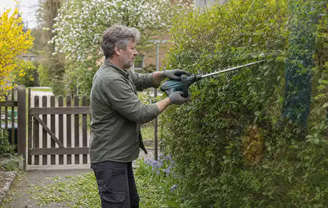Person schneidet eine Gartenhecke mit einem motorisierten Gartengerät; Thema Motorhacken, Schwerpunkt Nachhaltigkeit; Ergebnis.