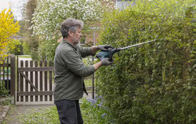 Person schneidet eine Gartenhecke mit einem motorisierten Gartengerät; Thema Motorhacken, Schwerpunkt Reinigung; Ausgangslage.