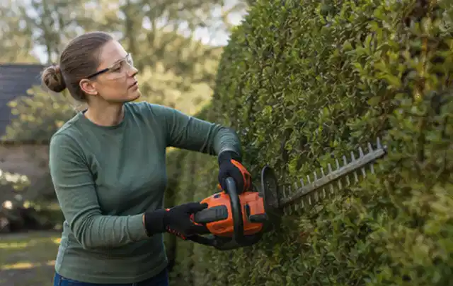 Person schneidet eine dichte Gartenhecke mit Schutzbrille und sicherem Stand; Thema Motorhacken, Schwerpunkt Reparatur; Umsetzung.