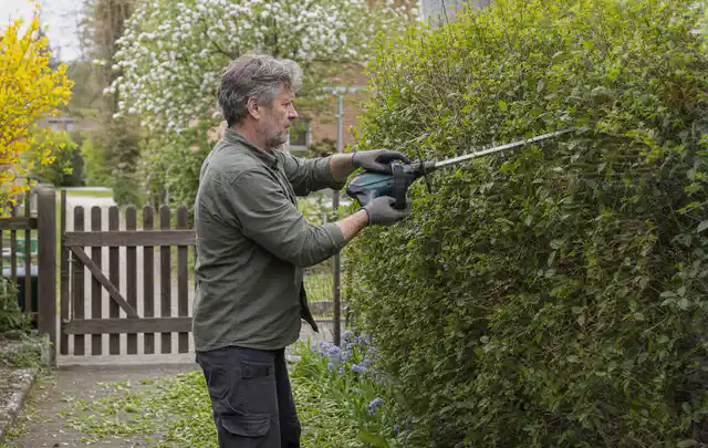 Person schneidet eine Gartenhecke mit einem motorisierten Gartengerät; Thema Motorhacken, Schwerpunkt Reparatur; Ergebnis.