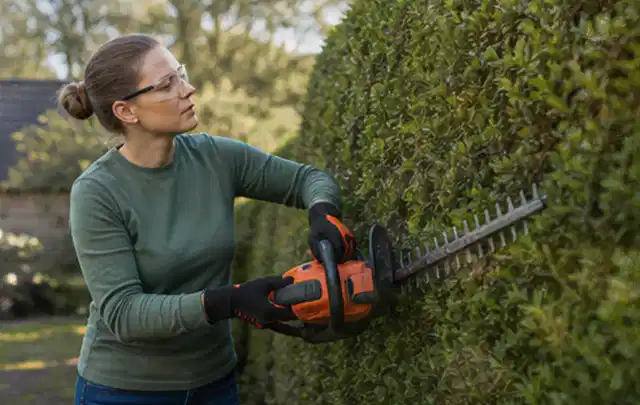 Person schneidet eine dichte Gartenhecke mit Schutzbrille und sicherem Stand; Thema Motorhacken, Schwerpunkt Systemvergleich; Ausgangslage.