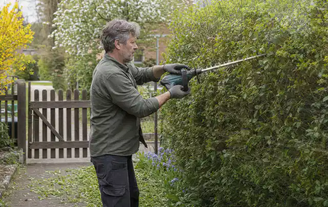 Person schneidet eine Gartenhecke mit einem motorisierten Gartengerät; Thema Motorhacken, Schwerpunkt Testkriterien; Ausgangslage.