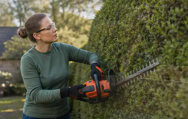 Person schneidet eine dichte Gartenhecke mit Schutzbrille und sicherem Stand; Thema Motorhacken, Schwerpunkt Vergleich; Kontrolle.