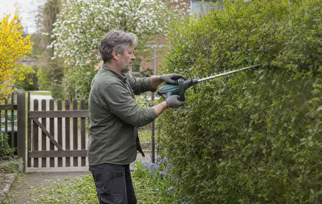 Person schneidet eine Gartenhecke mit einem motorisierten Gartengerät; Thema Motorhacken, Schwerpunkt Wartung; Ausgangslage.