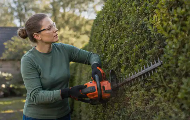 Person schneidet eine dichte Gartenhecke mit Schutzbrille und sicherem Stand; Thema Motorsensen, Schwerpunkt Anwendung; Kontrolle.
