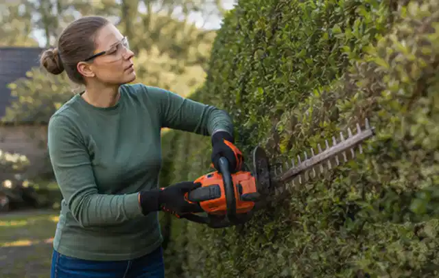 Person schneidet eine dichte Gartenhecke mit Schutzbrille und sicherem Stand; Thema Motorsensen, Schwerpunkt Bestenliste; Kontrolle.