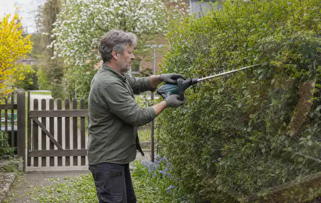 Person schneidet eine Gartenhecke mit einem motorisierten Gartengerät; Thema Motorsensen, Schwerpunkt Bestenliste; Ergebnis.