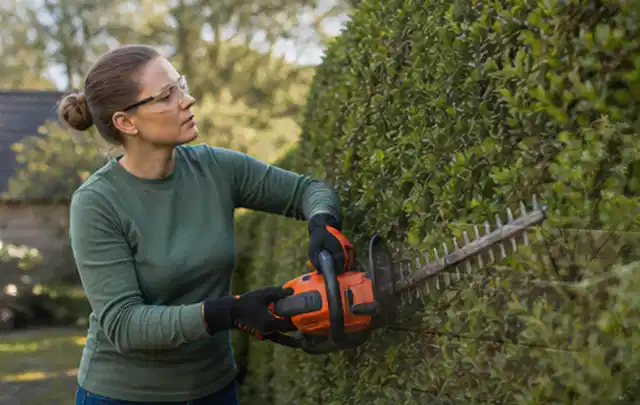 Person schneidet eine dichte Gartenhecke mit Schutzbrille und sicherem Stand; Thema Motorsensen, Schwerpunkt Dimensionierung; Kontrolle.