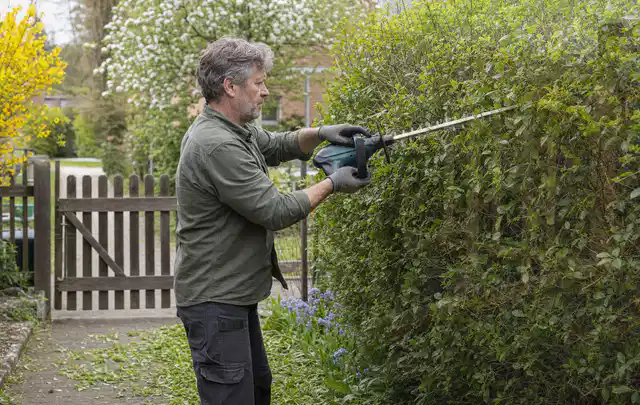 Person schneidet eine Gartenhecke mit einem motorisierten Gartengerät; Thema Motorsensen, Schwerpunkt Ersatzteile; Ergebnis.