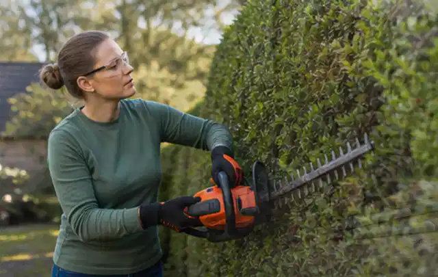 Person schneidet eine dichte Gartenhecke mit Schutzbrille und sicherem Stand; Thema Motorsensen, Schwerpunkt Ersatzteile; Praxisalltag.
