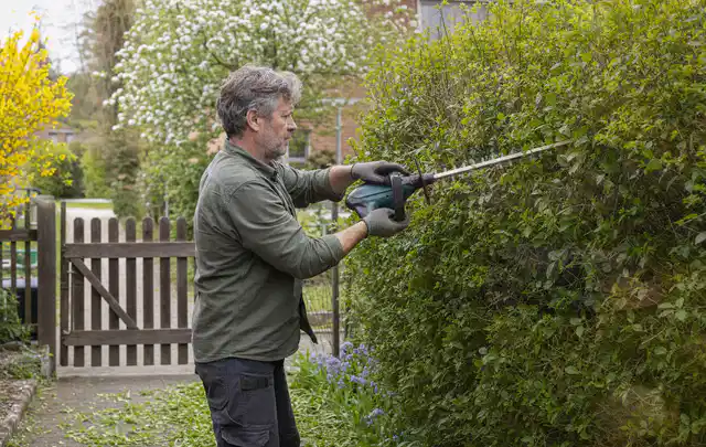 Person schneidet eine Gartenhecke mit einem motorisierten Gartengerät; Thema Motorsensen, Schwerpunkt Fehlerhilfe; Kontrolle.