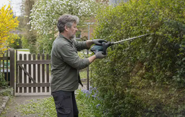 Person schneidet eine Gartenhecke mit einem motorisierten Gartengerät; Thema Motorsensen, Schwerpunkt Gärten mit kleiner Fläche; Umsetzung.