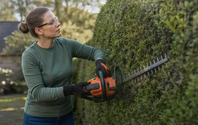 Person schneidet eine dichte Gartenhecke mit Schutzbrille und sicherem Stand; Thema Motorsensen, Schwerpunkt Kaufberatung; Umsetzung.