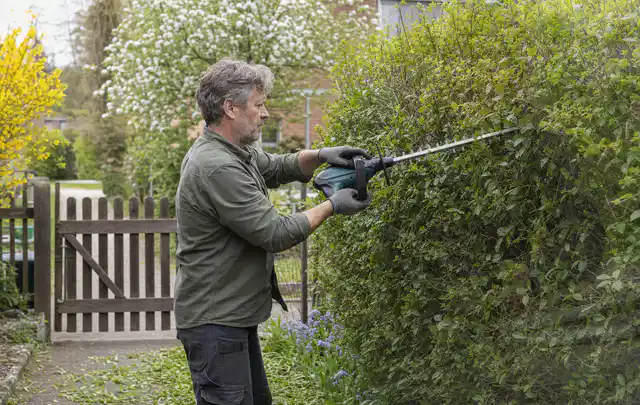Person schneidet eine Gartenhecke mit einem motorisierten Gartengerät; Thema Motorsensen, Schwerpunkt Kaufberatung; Praxisalltag.