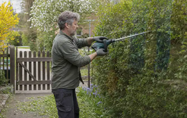 Person schneidet eine Gartenhecke mit einem motorisierten Gartengerät; Thema Motorsensen, Schwerpunkt Kosten; Praxisalltag.