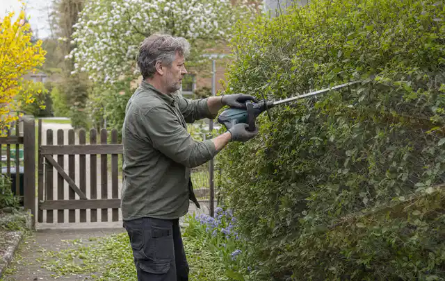 Person schneidet eine Gartenhecke mit einem motorisierten Gartengerät; Thema Motorsensen, Schwerpunkt Leistung; Kontrolle.