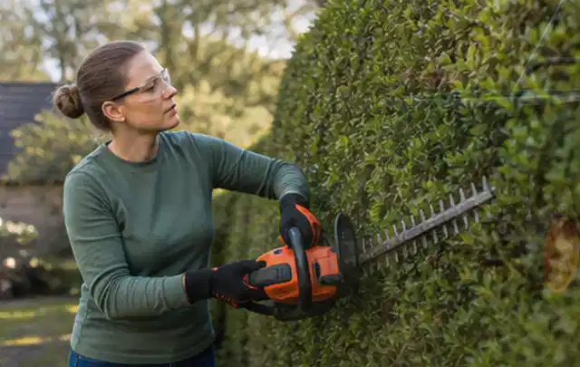Person schneidet eine dichte Gartenhecke mit Schutzbrille und sicherem Stand; Thema Motorsensen, Schwerpunkt Leistung; Ergebnis.