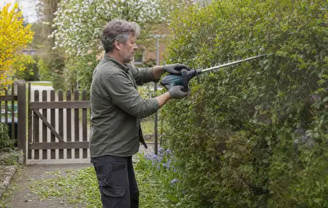 Person schneidet eine Gartenhecke mit einem motorisierten Gartengerät; Thema Motorsensen, Schwerpunkt Nachhaltigkeit; Ergebnis.