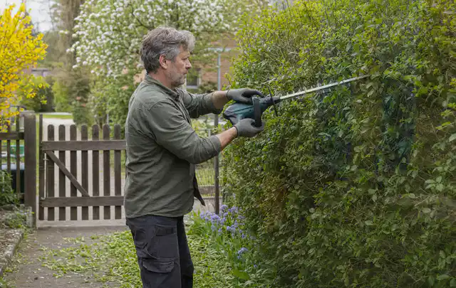 Person schneidet eine Gartenhecke mit einem motorisierten Gartengerät; Thema Motorsensen, Schwerpunkt Reinigung; Ausgangslage.