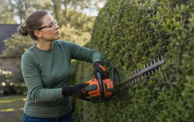 Person schneidet eine dichte Gartenhecke mit Schutzbrille und sicherem Stand; Thema Motorsensen, Schwerpunkt Reparatur; Kontrolle.