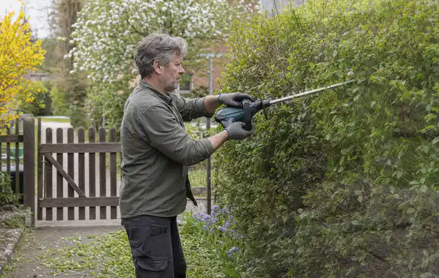 Person schneidet eine Gartenhecke mit einem motorisierten Gartengerät; Thema Motorsensen, Schwerpunkt Reparatur; Praxisalltag.