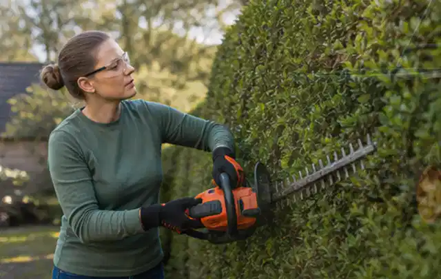 Person schneidet eine dichte Gartenhecke mit Schutzbrille und sicherem Stand; Thema Motorsensen, Schwerpunkt Sicherheit; Kontrolle.