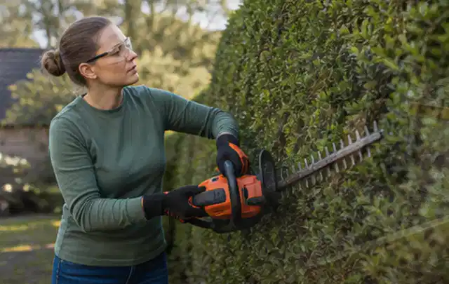 Person schneidet eine dichte Gartenhecke mit Schutzbrille und sicherem Stand; Thema Motorsensen, Schwerpunkt Systemvergleich; Ausgangslage.