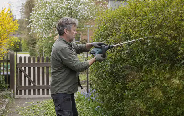 Person schneidet eine Gartenhecke mit einem motorisierten Gartengerät; Thema Motorsensen, Schwerpunkt Testkriterien; Ergebnis.